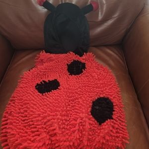 Ladybug Costume
